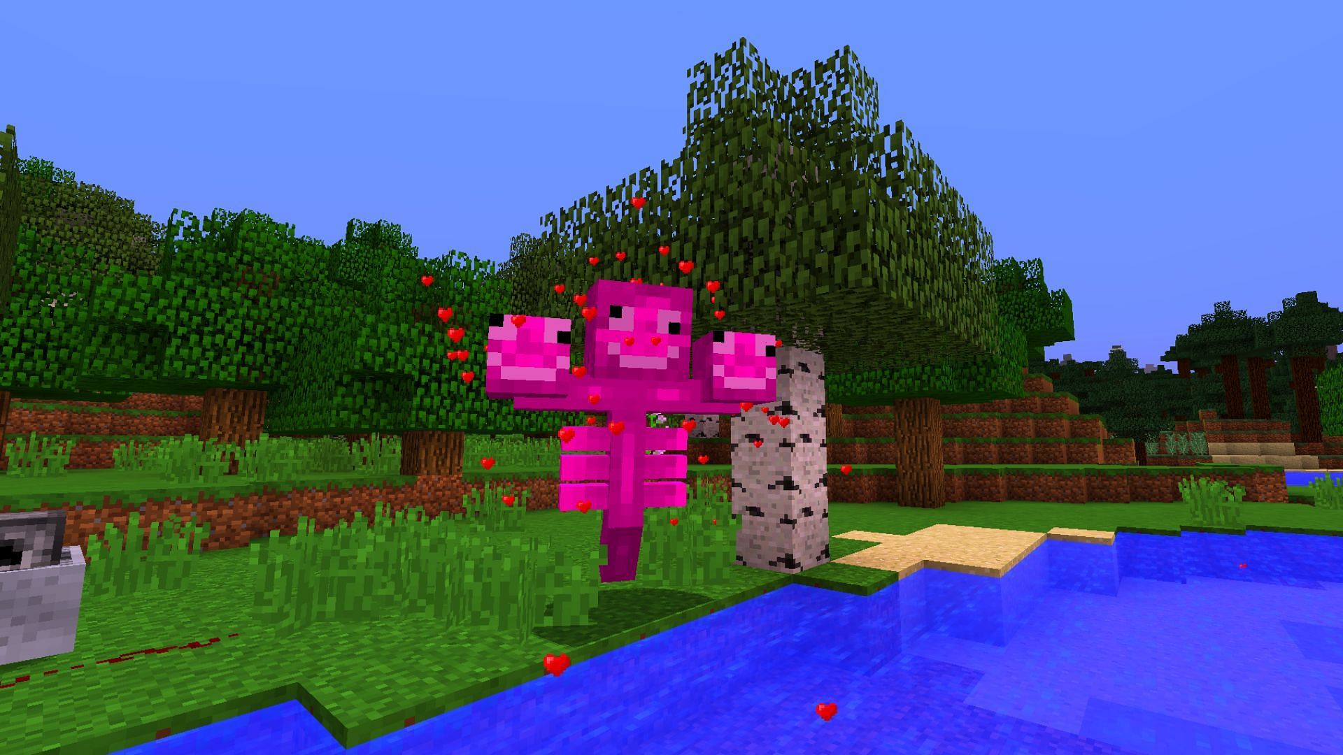 Love Wither was a passive mob that shot wither skulls that grow plants. (Image Minecraft Wiki || Mojang Studios)